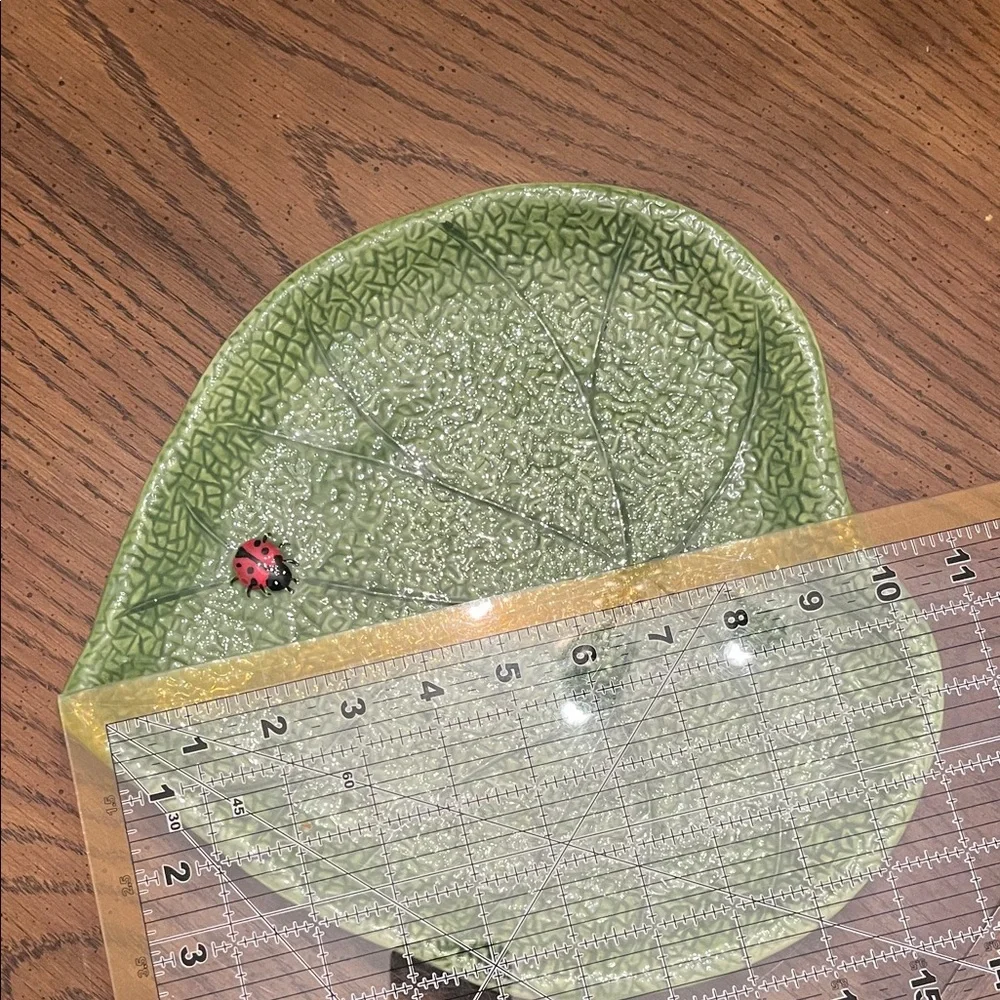 Pier 1 Imports Ladybug Leaf Dinner Plate‎